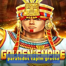 paratodos capim grosso